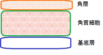 エステに行ったら肌荒れした その吹き出物の理由は好転反応 キレイノアンテナ